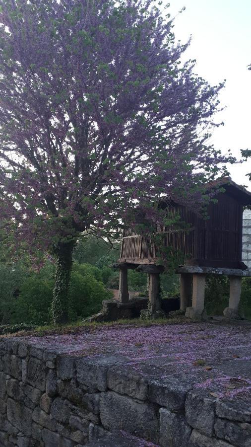 Casa Rural Torre Lombarda Allariz Esterno foto